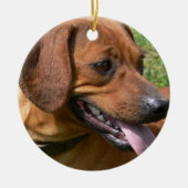 Afbeelding van een Dachshund Ornament (Voorkant)