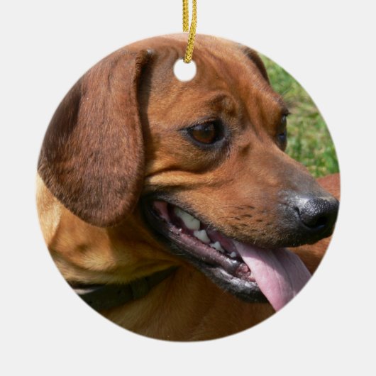 Afbeelding van een Dachshund Ornament (Voorkant)