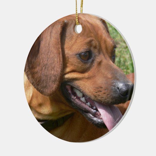 Afbeelding van een Dachshund Ornament (Links)