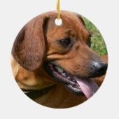 Afbeelding van een Dachshund Ornament (Achterkant)