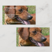 Afbeelding van een Dachshund-Visitekaartje Visitekaartje (Voorkant / Achterkant)