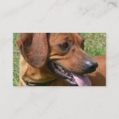 Afbeelding van een Dachshund-Visitekaartje Visitekaartje (Achterkant)