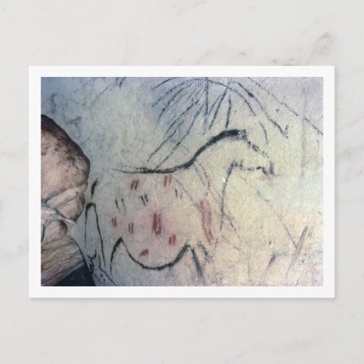 Afbeelding van een drachtige merrie met parallelle briefkaart (Voorkant)