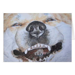 afbeelding van een grappige smakelijke akita gliml