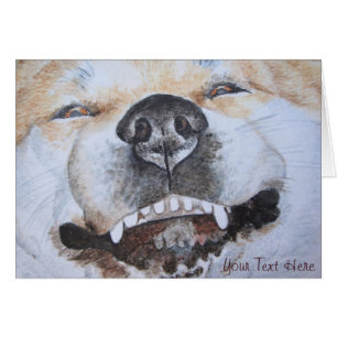 afbeelding van een grappige smakelijke akita gliml