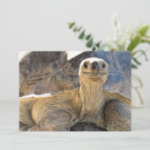 Afbeelding van een Happy Tortiose - Platte Kaart (Staand voorkant)