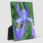 Afbeelding van een Iris Plaque Fotoplaat (Zijkant)