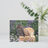 Afbeelding van een Keuken en een Lop Ear Rabbit Pe Briefkaart (Staand voorkant)