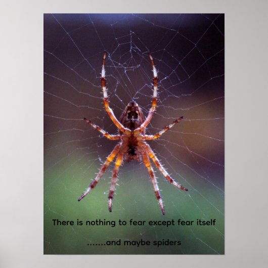 Afbeelding van een kleurrijke spin in web poster (Voorkant)