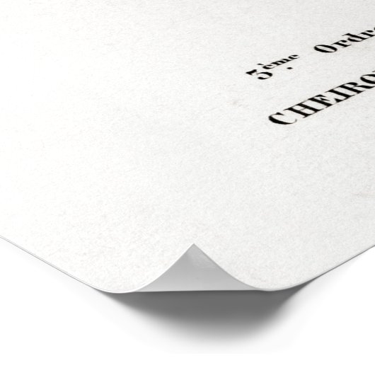  afbeelding van een Plecotus Poster (Hoek)