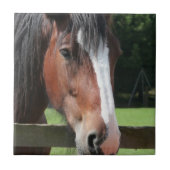 Afbeelding van een Quarter Horse Tile of Trivet Tegeltje (Voorkant)