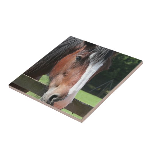 Afbeelding van een Quarter Horse Tile of Trivet Tegeltje (Zijkant)