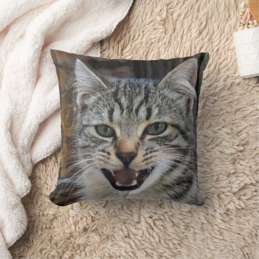 Afbeelding van een wild, opgewonden kitten, katten kussen (Deken)