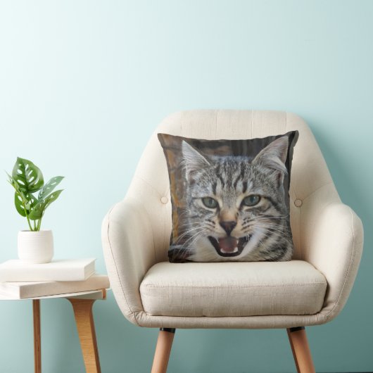 Afbeelding van een wild, opgewonden kitten, katten kussen (Stoel)