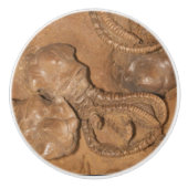 Afbeelding van Fossil Sandstone Keramische Knop (Voorkant)