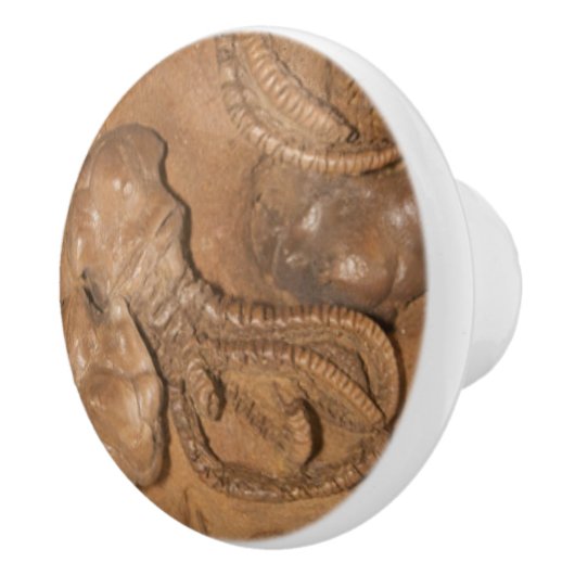 Afbeelding van Fossil Sandstone Keramische Knop (Rechts)