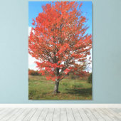 Afbeelding van gele herfst maple tree canvas afdruk (Insitu (Houten vloer))