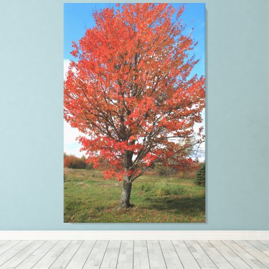 Afbeelding van gele herfst maple tree canvas afdruk (Insitu (Houten vloer))