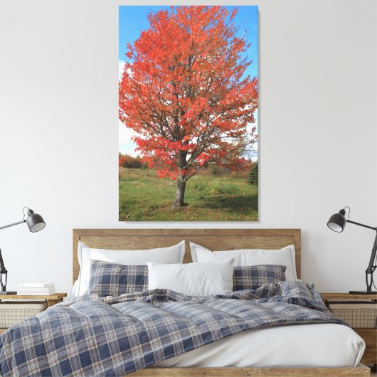 Afbeelding van gele herfst maple tree canvas afdruk (Insitu (Slaapkamer))
