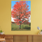 Afbeelding van gele herfst maple tree canvas afdruk (Insitu (Woonkamer))