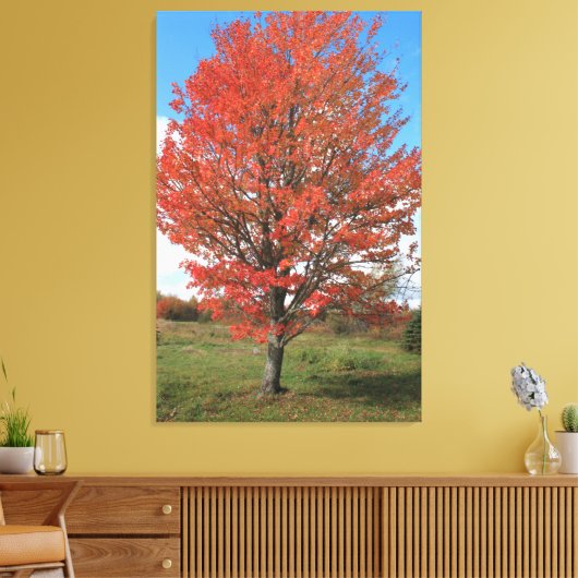 Afbeelding van gele herfst maple tree canvas afdruk (Insitu (Woonkamer))