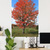 Afbeelding van gele herfst maple tree poster (Thuiskantoor)