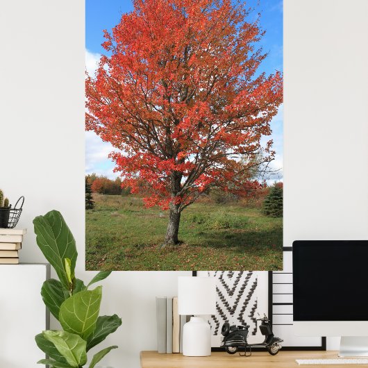 Afbeelding van gele herfst maple tree poster (Thuiskantoor)