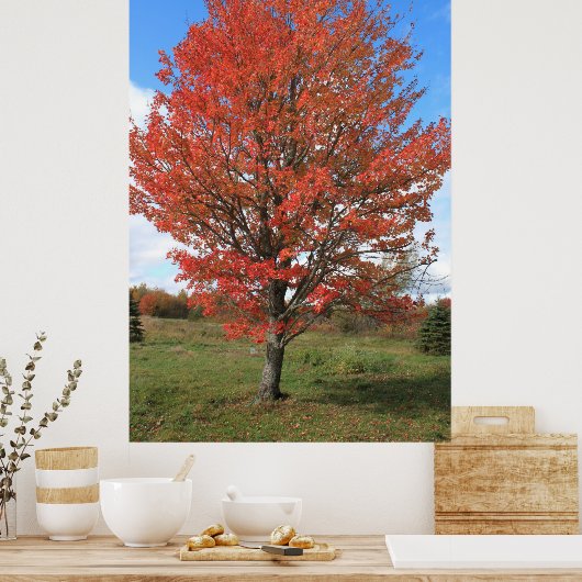 Afbeelding van gele herfst maple tree poster (Keuken)
