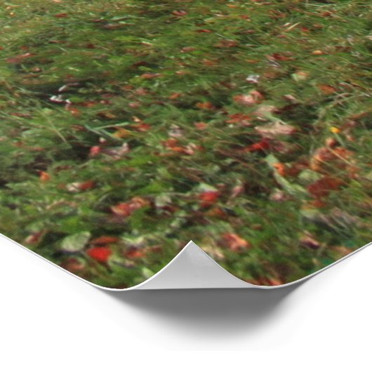 Afbeelding van gele herfst maple tree poster (Hoek)