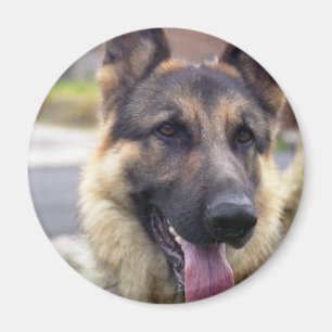 Afbeelding van German Shepherd Magnet