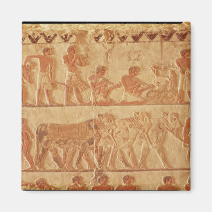 Afbeelding van geschilde reliëf magneet