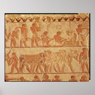 Afbeelding van geschilde reliëf poster