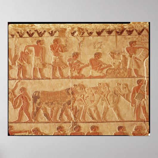 Afbeelding van geschilde reliëf poster (Voorkant)