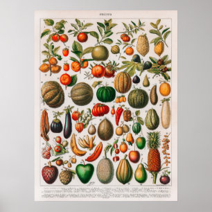  afbeelding van groenten en fruit poster