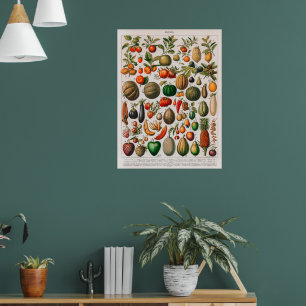  afbeelding van groenten en fruit poster