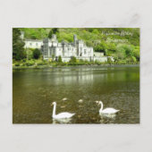 Afbeelding van het Ierse Briefkaart (Voorkant)