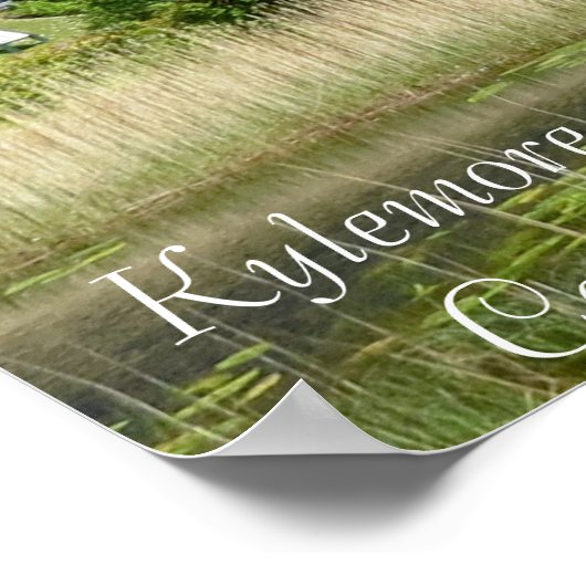 Afbeelding van het Ierse Poster (Hoek)