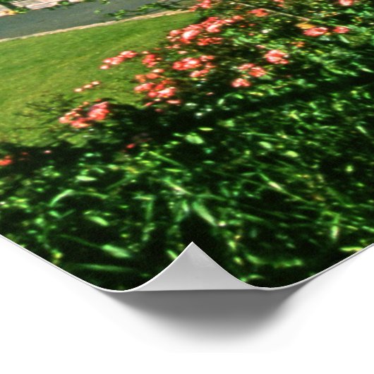 Afbeelding van het Ierse Poster (Hoek)