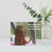 Afbeelding van het mooie gebarsten drakenpakket briefkaart (Staand voorkant)