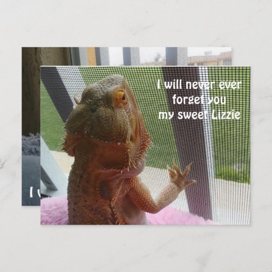 Afbeelding van het mooie gebarsten drakenpakket briefkaart (Voorkant / Achterkant)