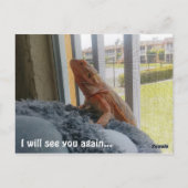 Afbeelding van het mooie gebarsten drakenpakket briefkaart (Achterkant)