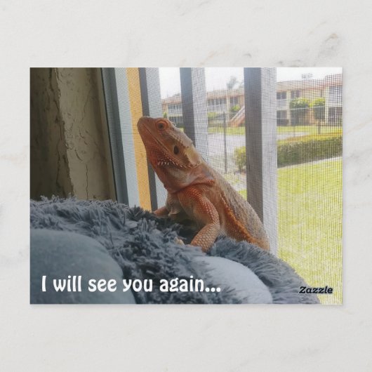 Afbeelding van het mooie gebarsten drakenpakket briefkaart (Achterkant)