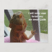 Afbeelding van het mooie gebarsten drakenpakket briefkaart (Voorkant)