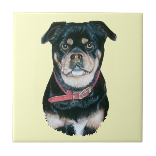 afbeelding van het portret van zwarte en beige doo tegeltje (Voorkant)