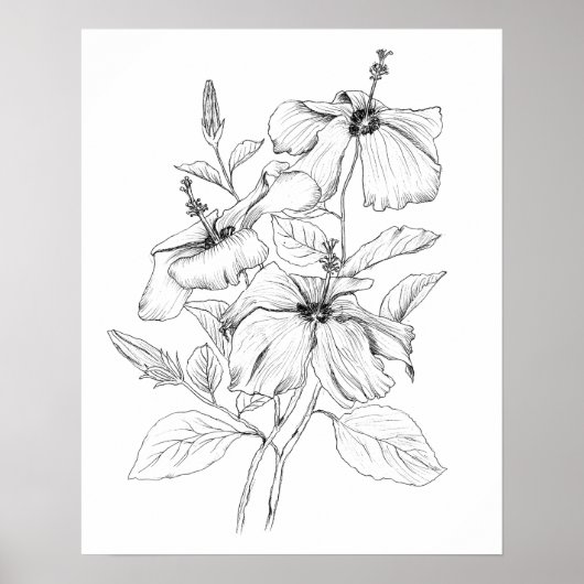 afbeelding van hibiscus bloem zwart-witte inkt poster (Voorkant)
