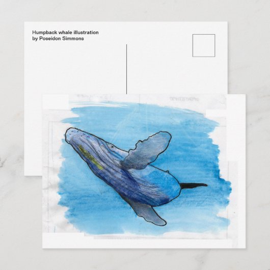 Afbeelding van hoefmakreel briefkaart (Voorkant / Achterkant)