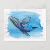 Afbeelding van hoefmakreel  briefkaart (Voorkant)