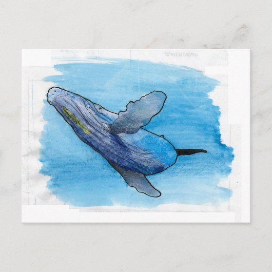 Afbeelding van hoefmakreel  briefkaart (Voorkant)