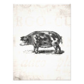  afbeelding van hog op oud papier 1800s Pig Foto Afdruk (Voorkant)