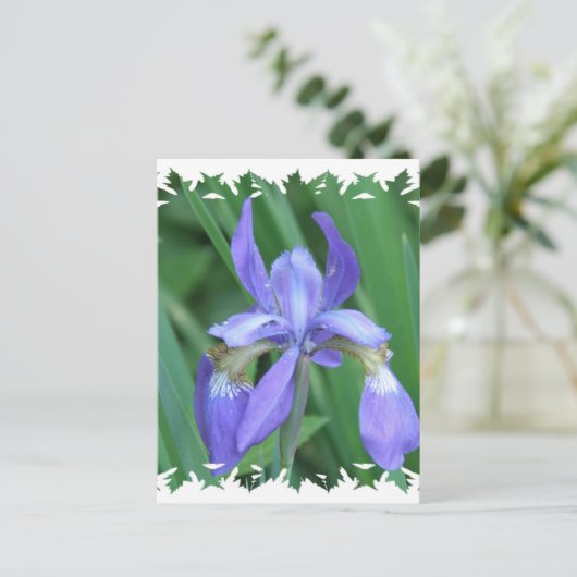 Afbeelding van Iris Briefkaart (Staand voorkant)